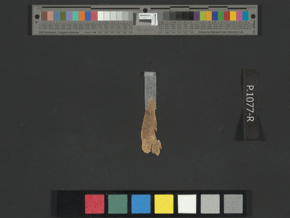 4QLeviticus b showing Leviticus 22:7 from Late 2nd Century BC – Mid-1st Century BC found in Qumran, Cave 4, currently housed at Rockefeller Museum, Jerusalem
