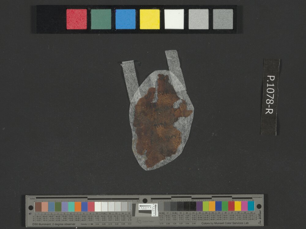 4QLeviticus b showing Leviticus 24:20 from Late 2nd Century BC – Mid-1st Century BC found in Qumran, Cave 4, currently housed at Rockefeller Museum, Jerusalem