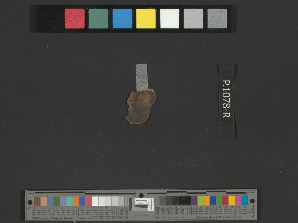 4QLeviticus b showing Leviticus 24:23 from Late 2nd Century BC – Mid-1st Century BC found in Qumran, Cave 4, currently housed at Rockefeller Museum, Jerusalem