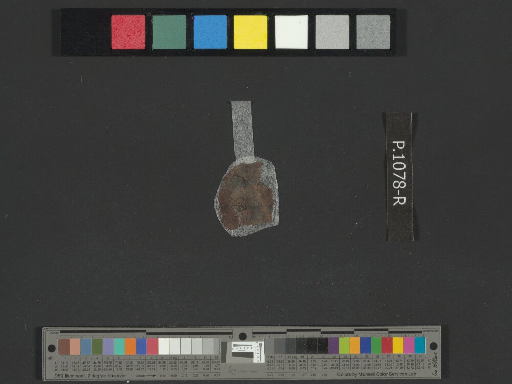4QLeviticus b showing Leviticus 25:29 from Late 2nd Century BC – Mid-1st Century BC found in Qumran, Cave 4, currently housed at Rockefeller Museum, Jerusalem