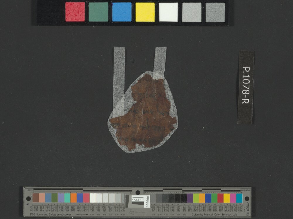 4QLeviticus b showing Leviticus 25:46 from Late 2nd Century BC – Mid-1st Century BC found in Qumran, Cave 4, currently housed at Rockefeller Museum, Jerusalem