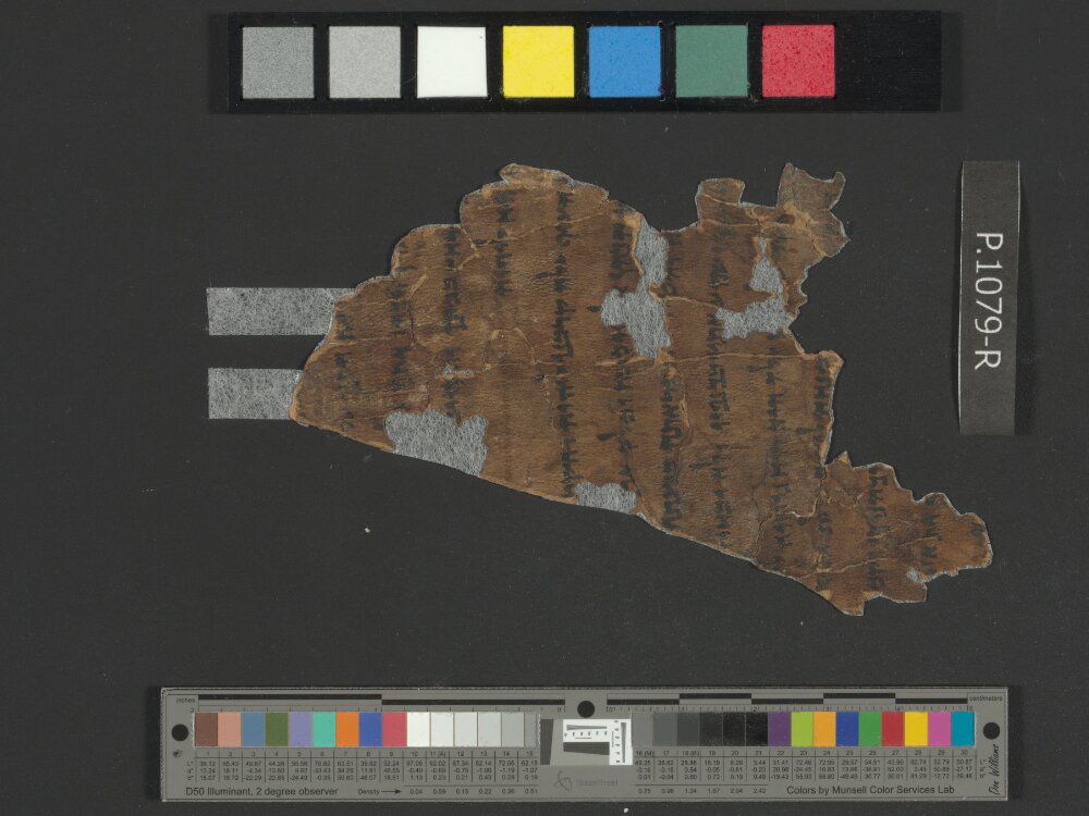 4QLeviticus b showing Leviticus 1:13 from Late 2nd Century BC – Mid-1st Century BC found in Qumran, Cave 4, currently housed at Rockefeller Museum, Jerusalem