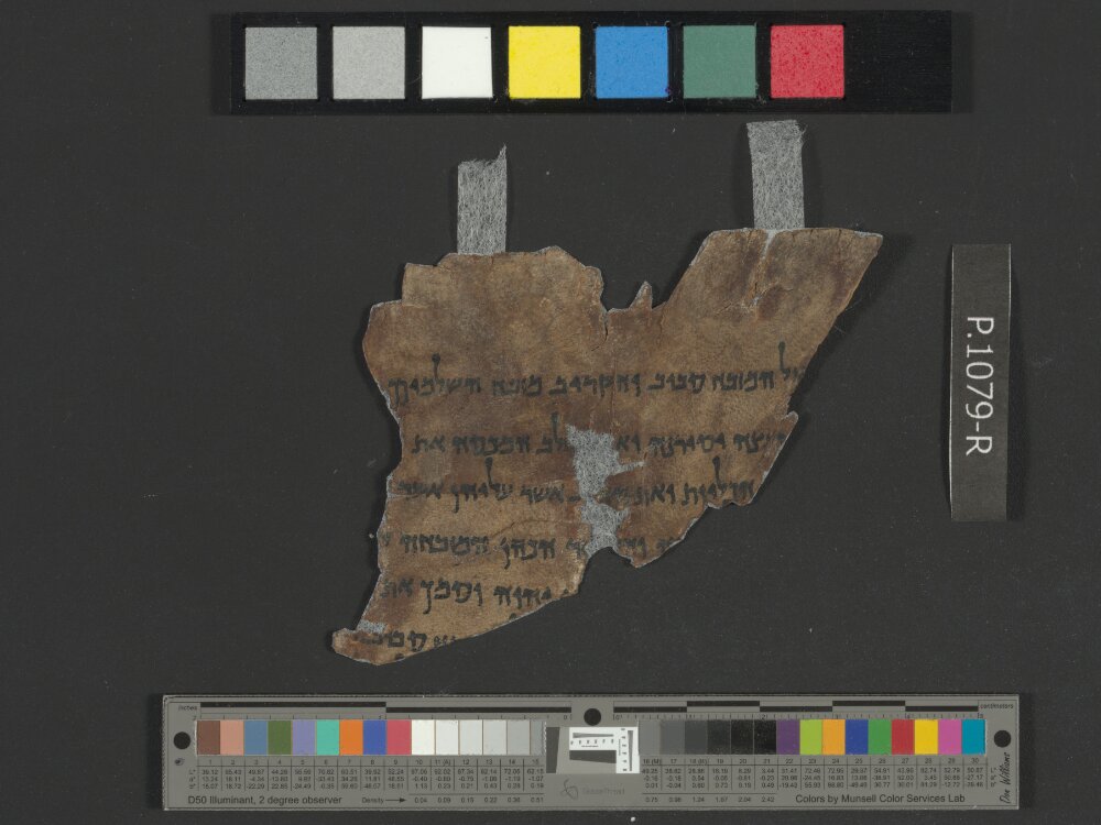 4QLeviticus b showing Leviticus 3:13 from Late 2nd Century BC – Mid-1st Century BC found in Qumran, Cave 4, currently housed at Rockefeller Museum, Jerusalem