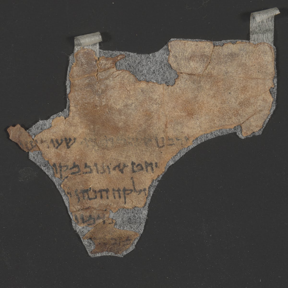 4QLeviticus c (Scan 1) showing Leviticus 1:2 from Late 1st Century BC – Mid-1st Century AD found in Qumran, Cave 4, currently housed at Rockefeller Museum, Jerusalem