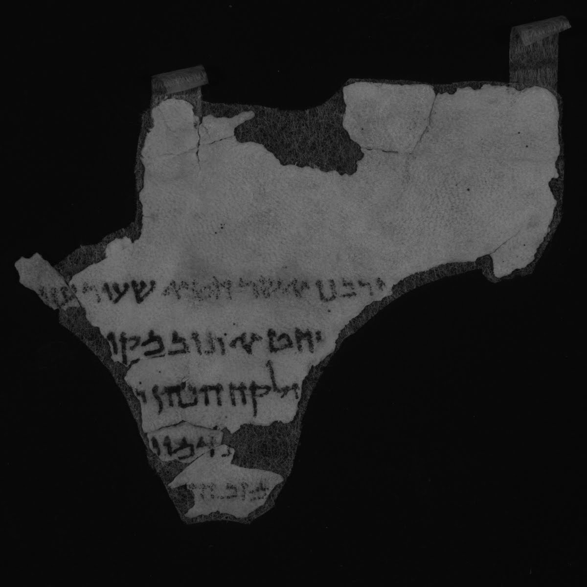 4QLeviticus c (Scan 2) showing Leviticus 1:2 from Late 1st Century BC – Mid-1st Century AD found in Qumran, Cave 4, currently housed at Rockefeller Museum, Jerusalem