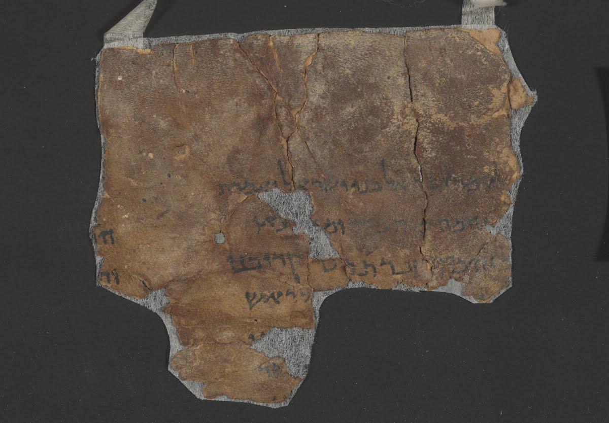 4QLeviticus c (Scan 1) showing Leviticus 4:2 from Late 1st Century BC – Mid-1st Century AD found in Qumran, Cave 4, currently housed at Rockefeller Museum, Jerusalem