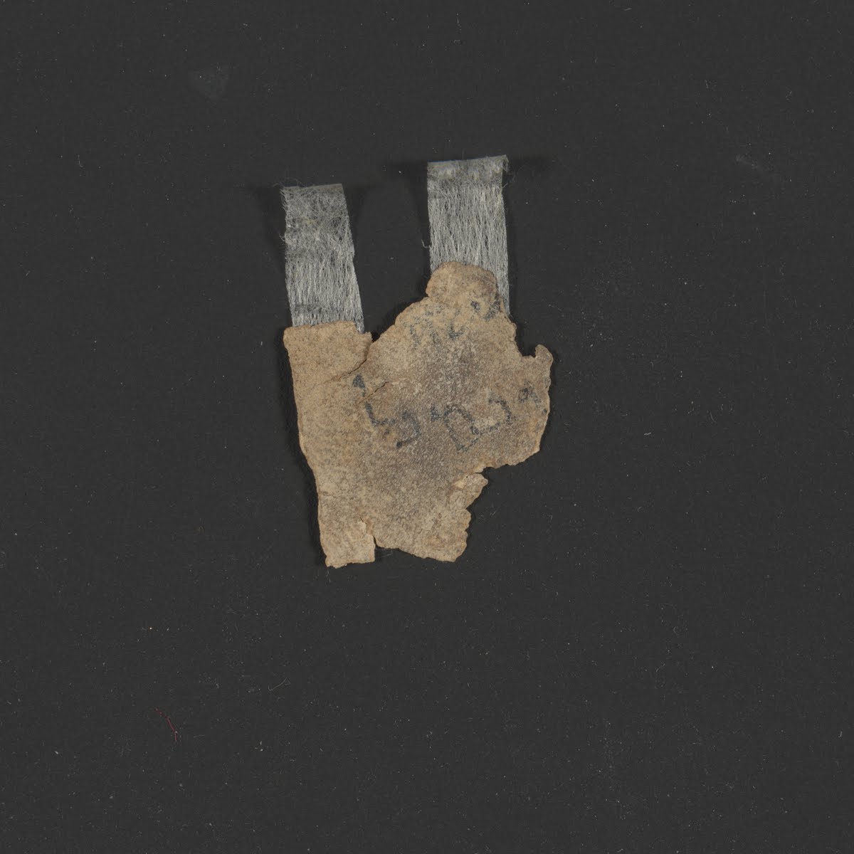 4QLeviticus c (Scan 1) showing Leviticus 5:13 from Late 1st Century BC – Mid-1st Century AD found in Qumran, Cave 4, currently housed at Rockefeller Museum, Jerusalem