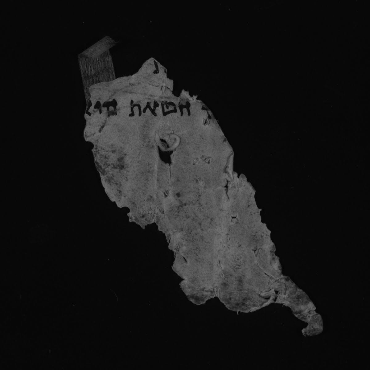 4QLeviticus c (Scan 2) showing Leviticus 8:28 from Late 1st Century BC – Mid-1st Century AD found in Qumran, Cave 4, currently housed at Rockefeller Museum, Jerusalem