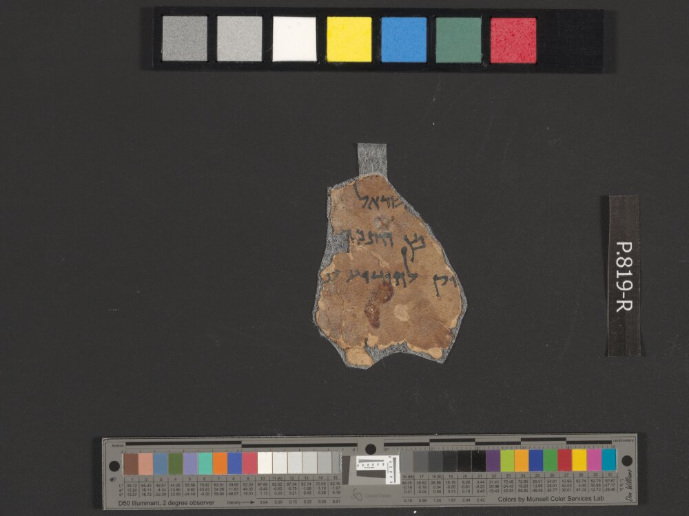 4Q Commentary on Genesis B showing Genesis 8:16 from Late Hasmonean to Early Herodian (c. 50 BC – 30 AD) found in Qumran, Cave 4, currently housed at Rockefeller Museum, Jerusalem