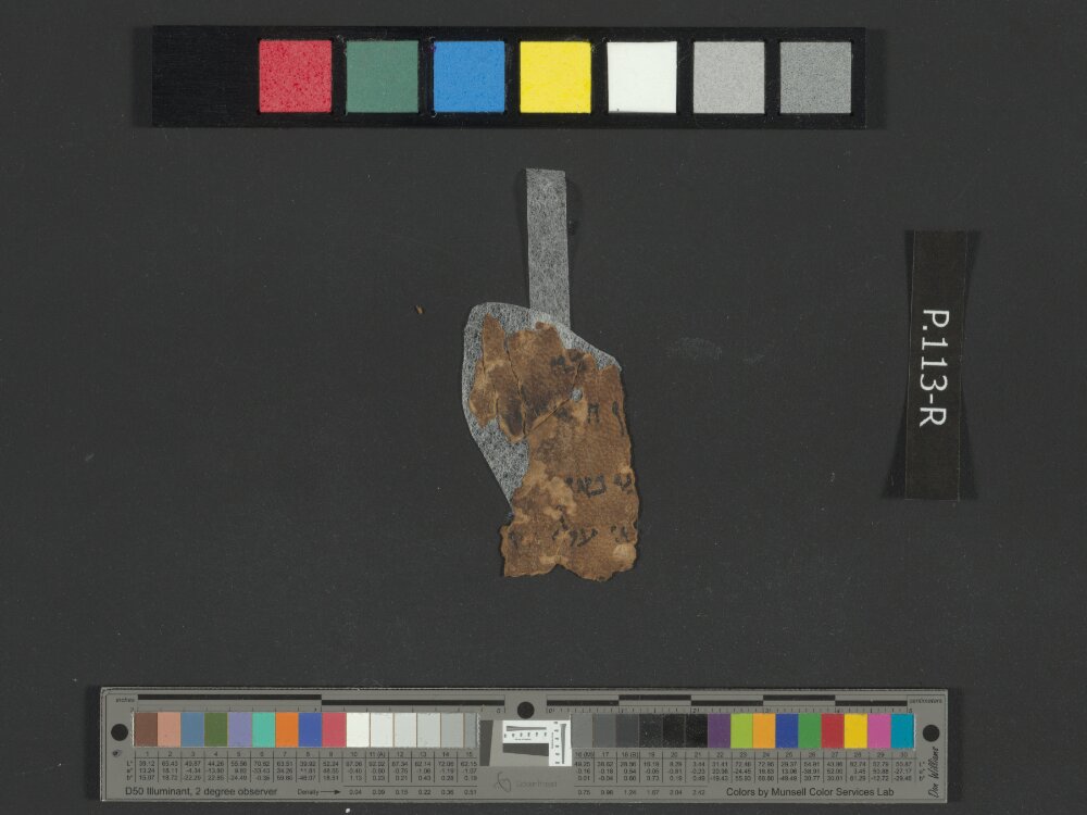 4Q Commentary on Genesis C showing Genesis 49:15 from Late 1st Century BC – Early 1st Century AD found in Qumran, Cave 4, currently housed at Rockefeller Museum, Jerusalem