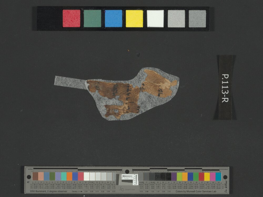 4Q Commentary on Genesis C showing Genesis 49:17 from Late 1st Century BC – Early 1st Century AD found in Qumran, Cave 4, currently housed at Rockefeller Museum, Jerusalem