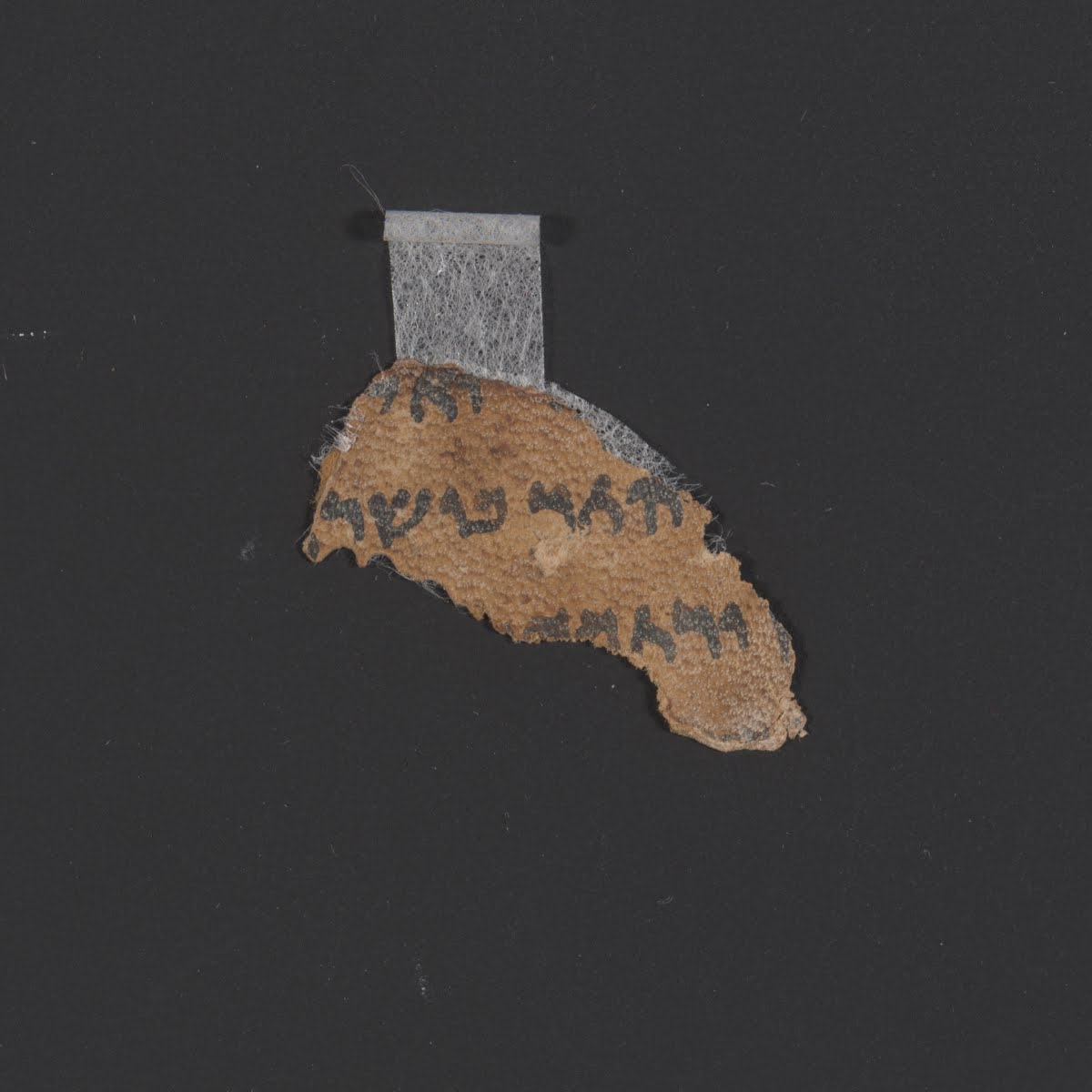 4QLeviticus^d (4QLev^d) showing Leviticus 15:22 from Late 1st Century BC – Early 1st Century AD found in Qumran, Cave 4, currently housed at Rockefeller Museum, Jerusalem
