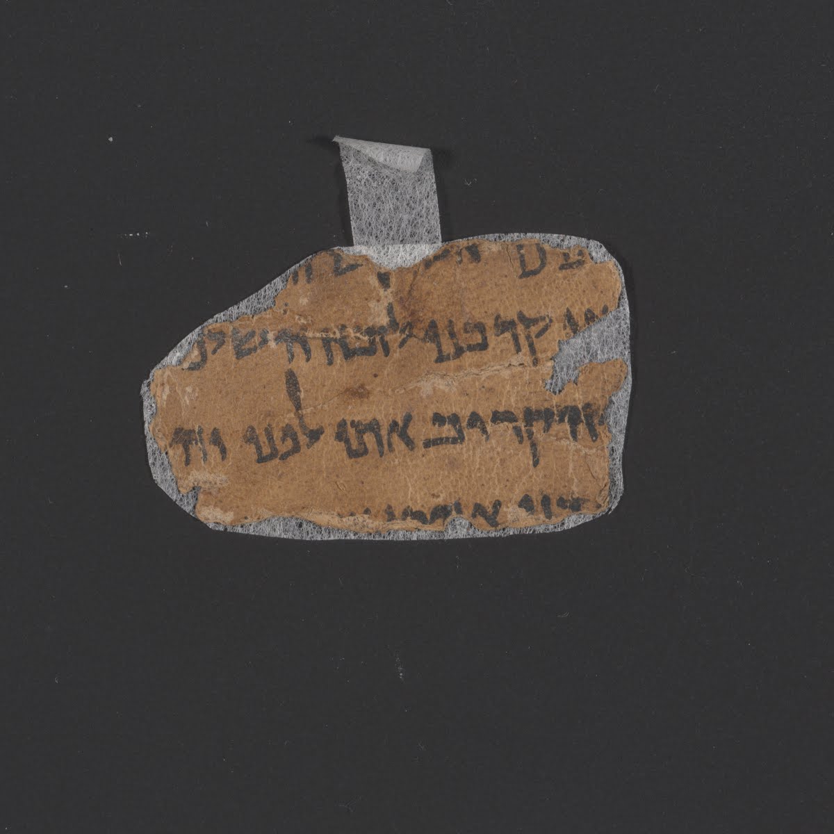 4QLeviticus^d (4QLev^d) showing Leviticus 17:2 from Late 1st Century BC – Early 1st Century AD found in Qumran, Cave 4, currently housed at Rockefeller Museum, Jerusalem