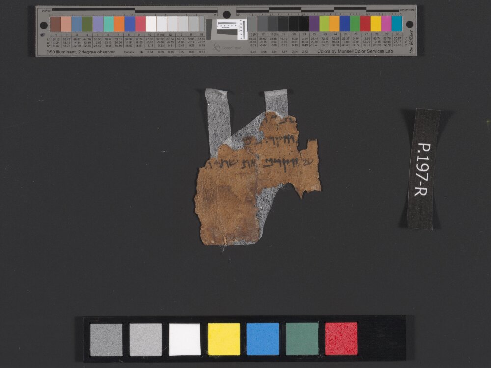 4QLeviticus-e showing Leviticus 3:2 from c. 100–30 BC found in Qumran, Cave 4, currently housed at Rockefeller Museum, Jerusalem