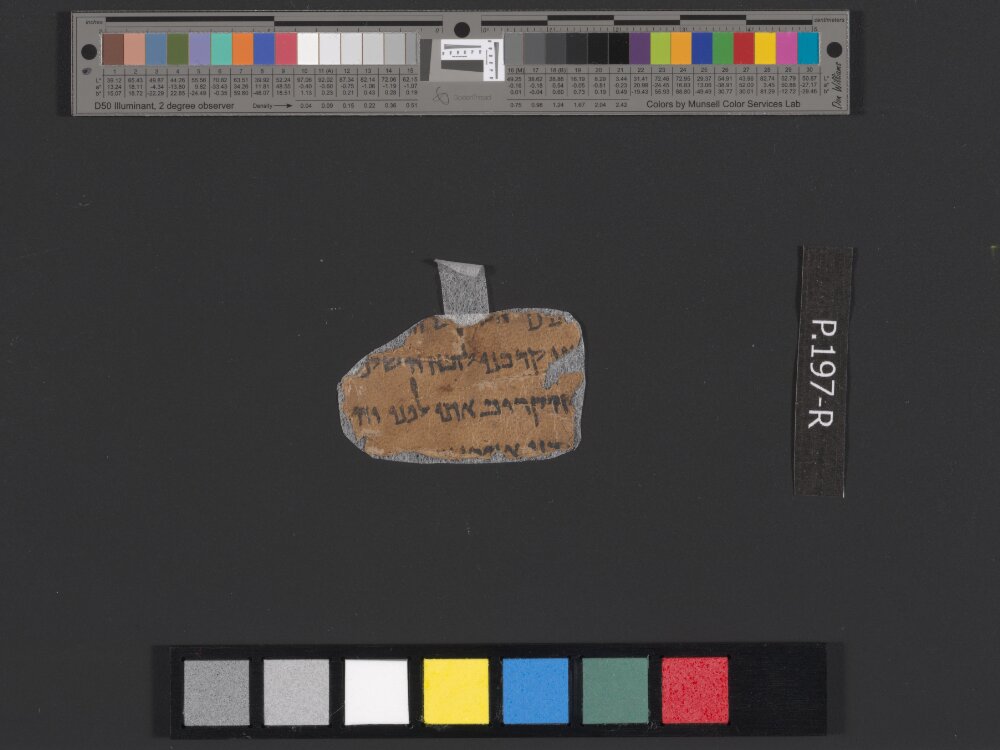 4QLeviticus-e showing Leviticus 3:7 from c. 100–30 BC found in Qumran, Cave 4, currently housed at Rockefeller Museum, Jerusalem
