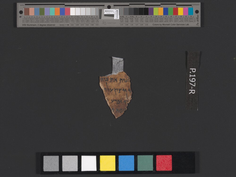 4QLeviticus-e showing Leviticus 21:10 from c. 100–30 BC found in Qumran, Cave 4, currently housed at Rockefeller Museum, Jerusalem