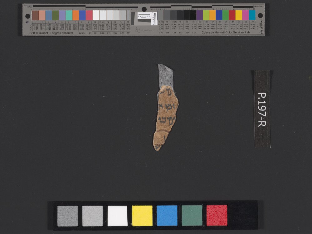 4QLeviticus-e showing Leviticus 21:23 from c. 100–30 BC found in Qumran, Cave 4, currently housed at Rockefeller Museum, Jerusalem