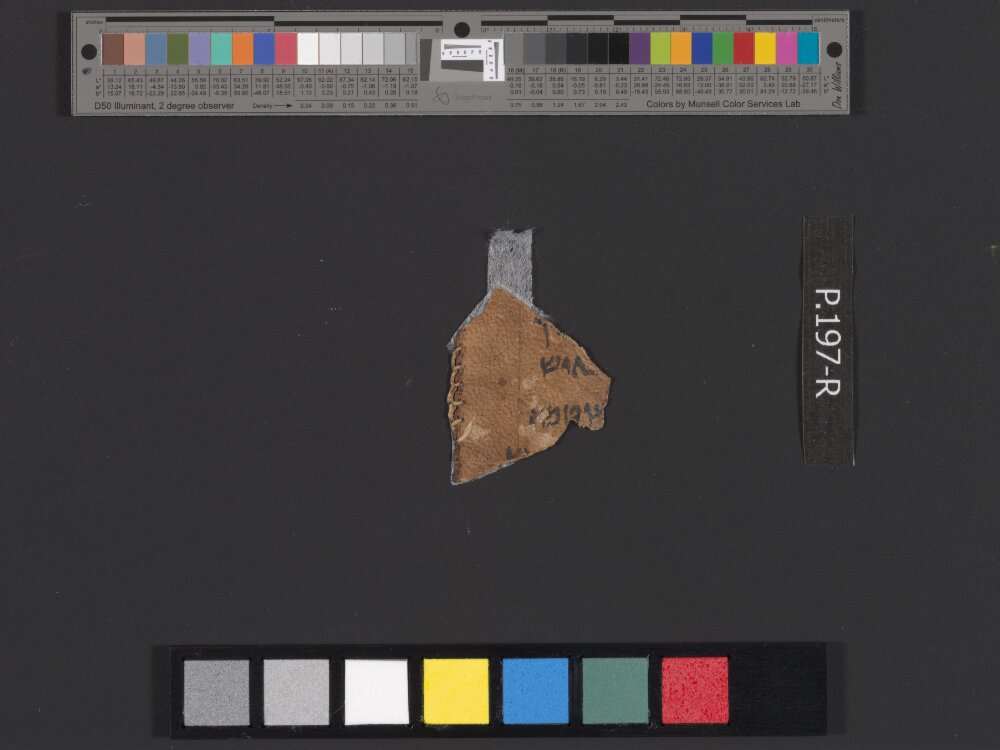 4QLeviticus-e showing Leviticus 22:4 from c. 100–30 BC found in Qumran, Cave 4, currently housed at Rockefeller Museum, Jerusalem