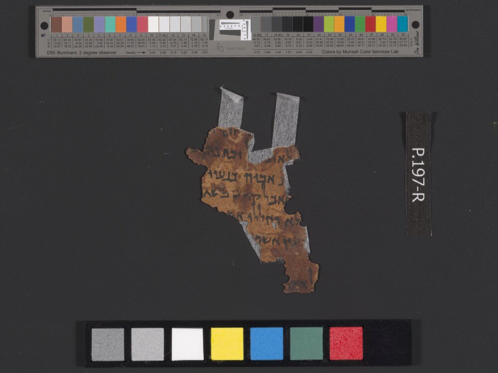 4QLeviticus-e showing Leviticus 22:13 from c. 100–30 BC found in Qumran, Cave 4, currently housed at Rockefeller Museum, Jerusalem