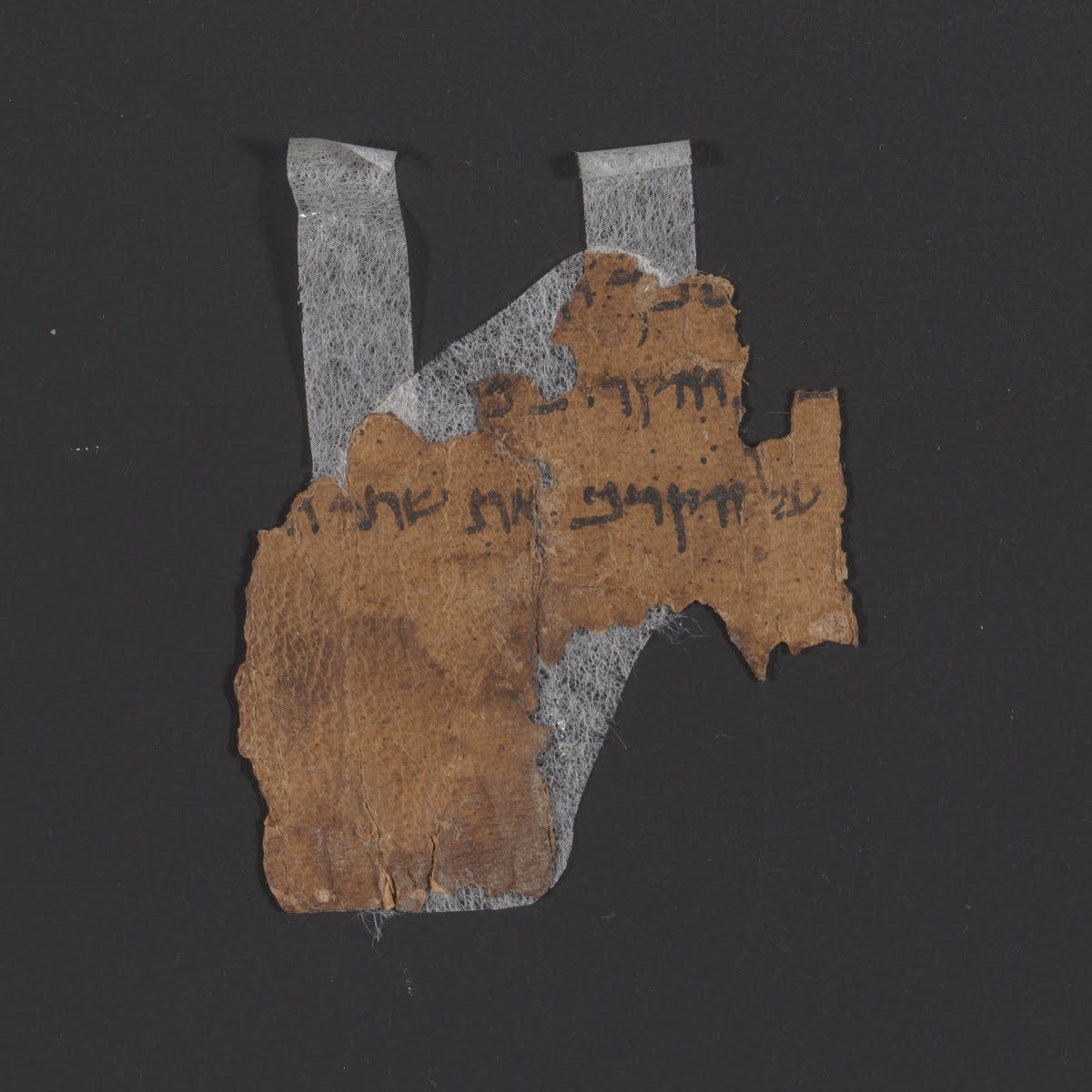 4QLeviticus g (4QLev g) showing Leviticus 7:21 from Late 1st Century BC (c. 50–1 BC) found in Qumran, Cave 4, currently housed at Rockefeller Museum, Jerusalem
