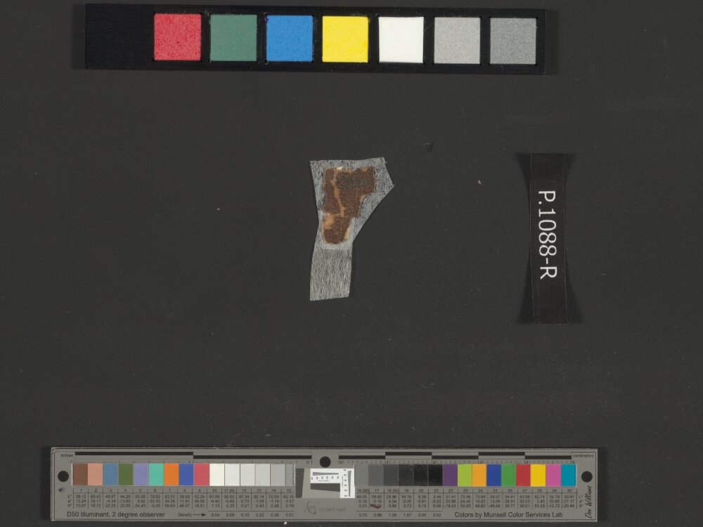 4QNumbers^b (4QNum^b) showing Numbers 16:32 from Late 1st Century BC – Early 1st Century AD found in Qumran, Cave 4, currently housed at Rockefeller Museum, Jerusalem