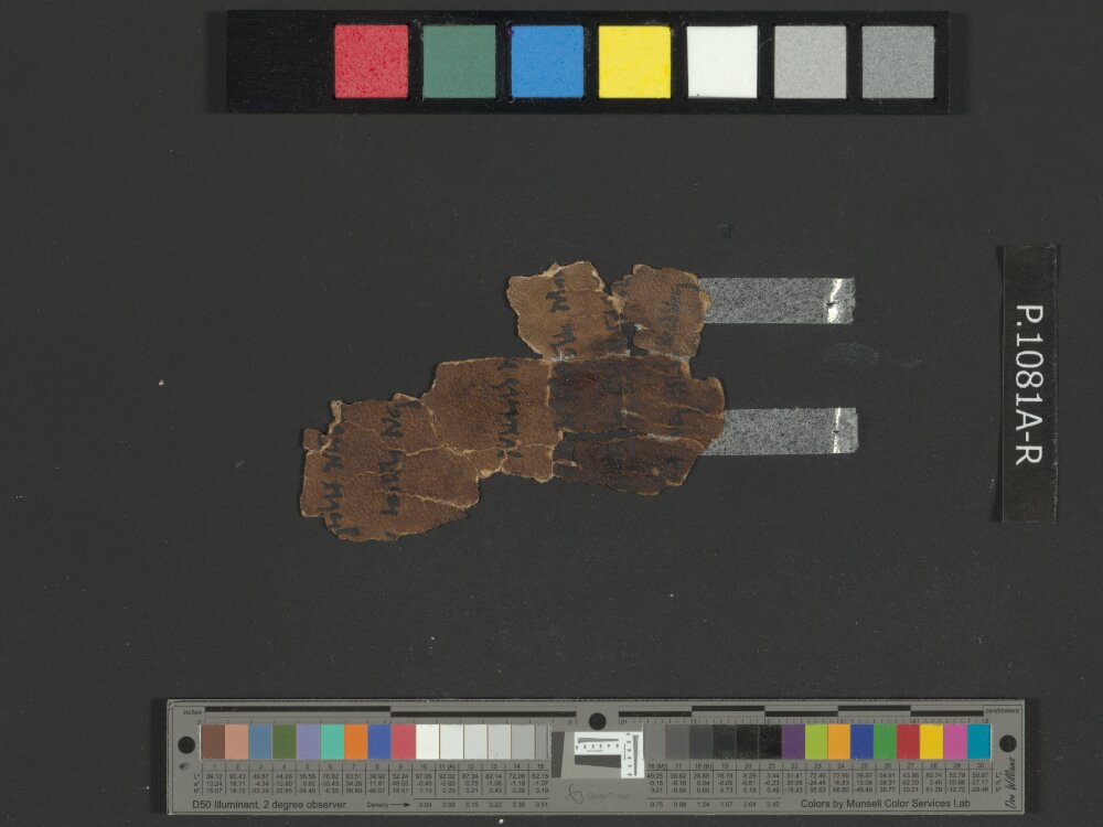 4QNumbers^b (4QNum^b) (Scan 1) showing Numbers 17:14 from Late 1st Century BC – Early 1st Century AD found in Qumran, Cave 4, currently housed at Rockefeller Museum, Jerusalem