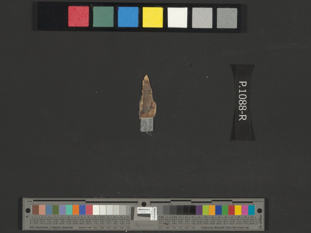 4QNumbers^b (4QNum^b) (Scan 2) showing Numbers 17:14 from Late 1st Century BC – Early 1st Century AD found in Qumran, Cave 4, currently housed at Rockefeller Museum, Jerusalem