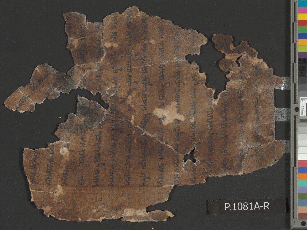 4QNumbers^b (4QNum^b) (Scan 1) showing Numbers 18:28 from Late 1st Century BC – Early 1st Century AD found in Qumran, Cave 4, currently housed at Rockefeller Museum, Jerusalem