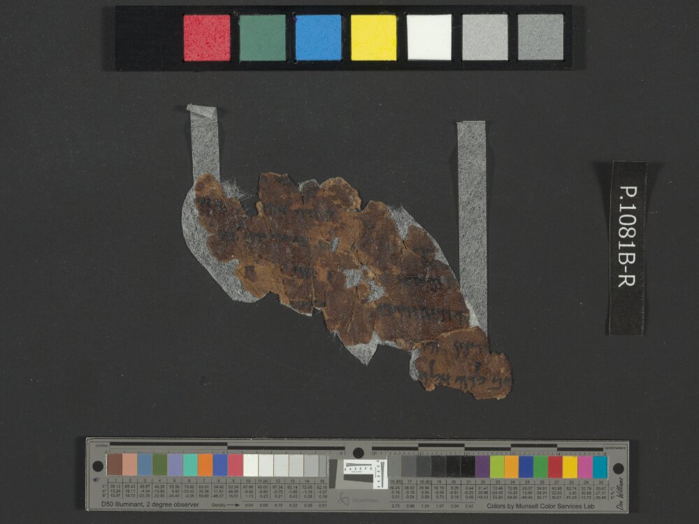 4QNumbers^b (4QNum^b) (Scan 2) showing Numbers 20:13 from Late 1st Century BC – Early 1st Century AD found in Qumran, Cave 4, currently housed at Rockefeller Museum, Jerusalem