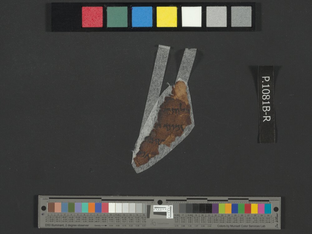 4QNumbers^b (4QNum^b) (Scan 3) showing Numbers 20:13 from Late 1st Century BC – Early 1st Century AD found in Qumran, Cave 4, currently housed at Rockefeller Museum, Jerusalem