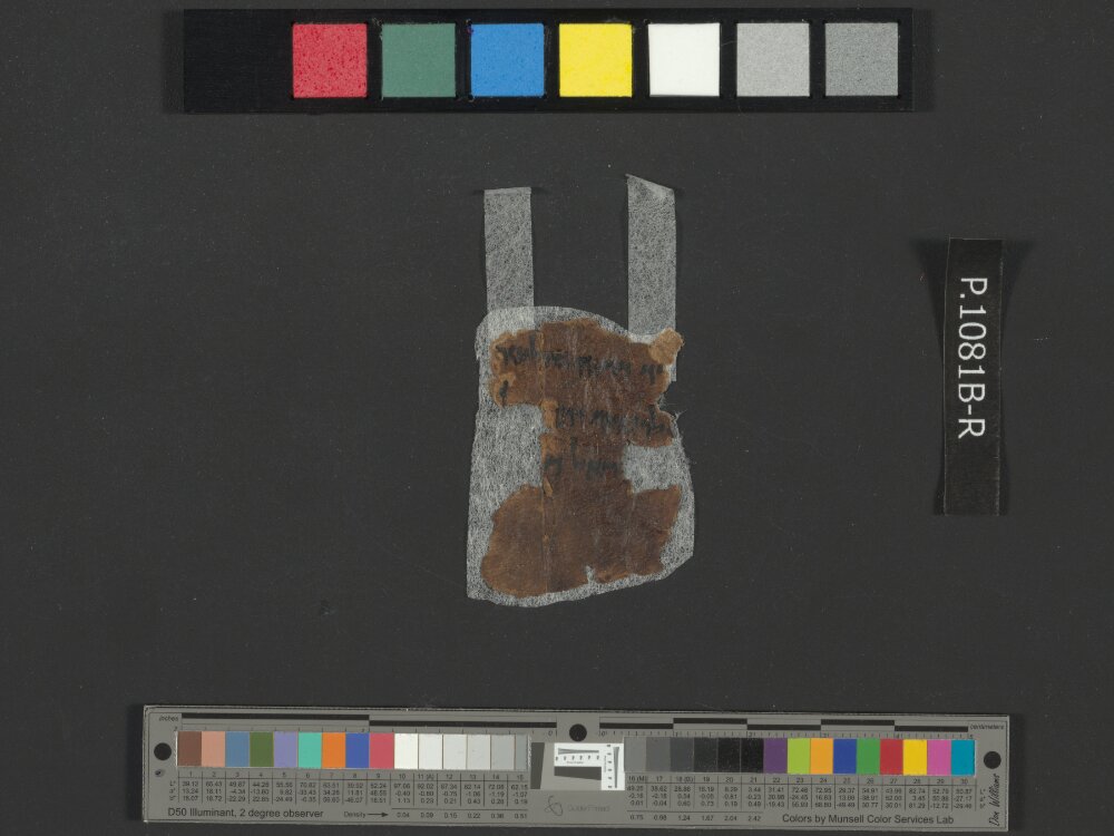 4QNumbers^b (4QNum^b) (Scan 5) showing Numbers 20:13 from Late 1st Century BC – Early 1st Century AD found in Qumran, Cave 4, currently housed at Rockefeller Museum, Jerusalem