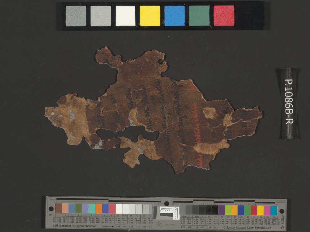 4QNumbers^b (4QNum^b) (Scan 1) showing Numbers 21:1 from Late 1st Century BC – Early 1st Century AD found in Qumran, Cave 4, currently housed at Rockefeller Museum, Jerusalem