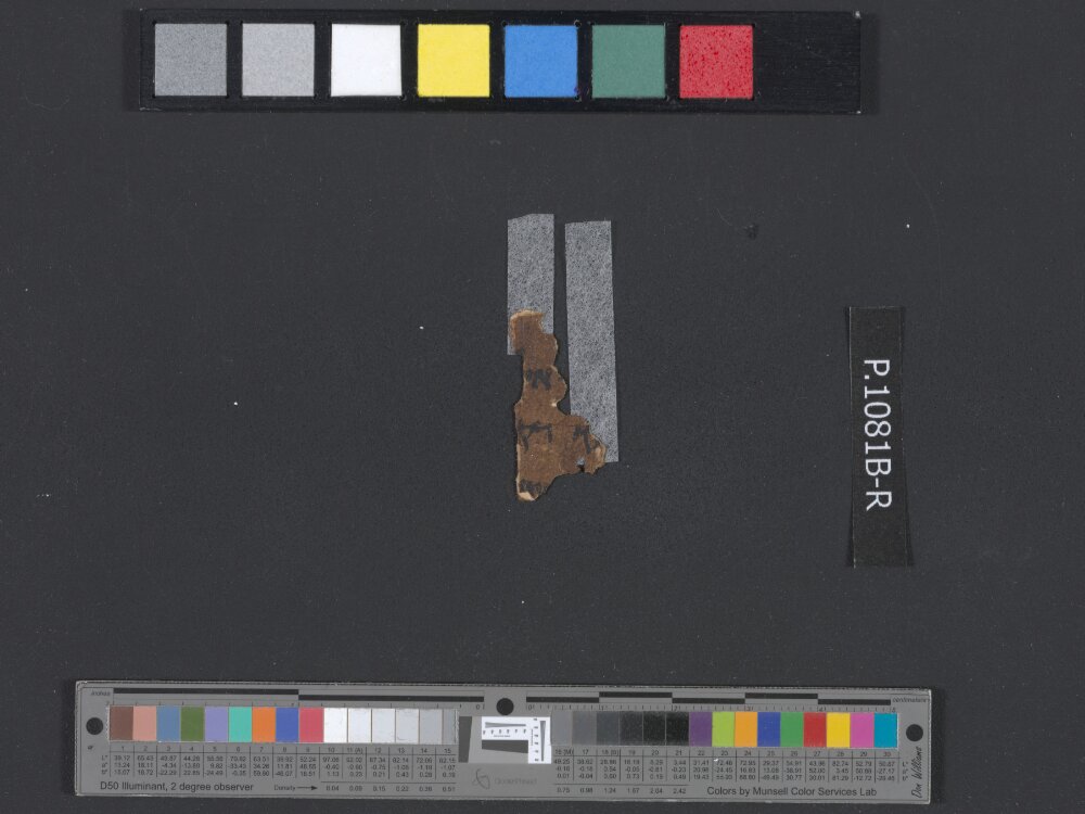 4QNumbers^b (4QNum^b) (Scan 2) showing Numbers 21:1 from Late 1st Century BC – Early 1st Century AD found in Qumran, Cave 4, currently housed at Rockefeller Museum, Jerusalem