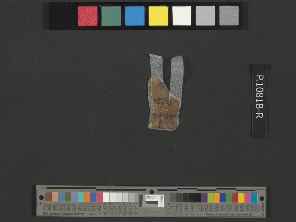 4QNumbers^b (4QNum^b) (Scan 3) showing Numbers 21:1 from Late 1st Century BC – Early 1st Century AD found in Qumran, Cave 4, currently housed at Rockefeller Museum, Jerusalem
