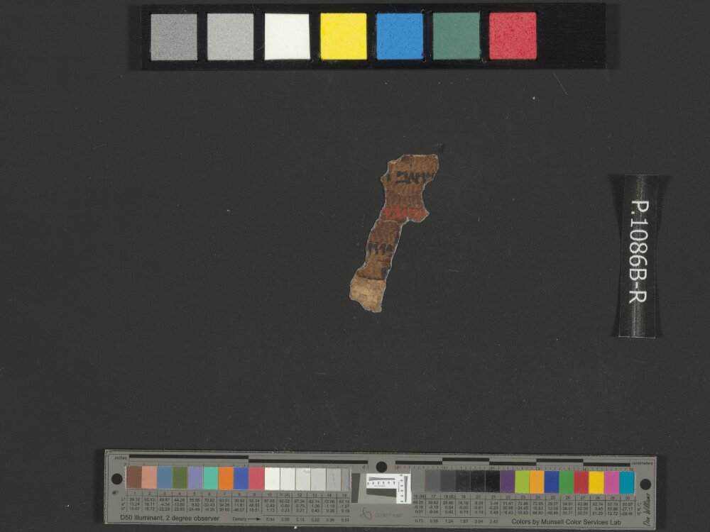 4QNumbers^b (4QNum^b) (Scan 4) showing Numbers 21:1 from Late 1st Century BC – Early 1st Century AD found in Qumran, Cave 4, currently housed at Rockefeller Museum, Jerusalem