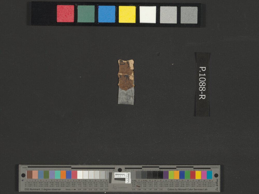4QNumbers^b (4QNum^b) (Scan 1) showing Numbers 21:12 from Late 1st Century BC – Early 1st Century AD found in Qumran, Cave 4, currently housed at Rockefeller Museum, Jerusalem