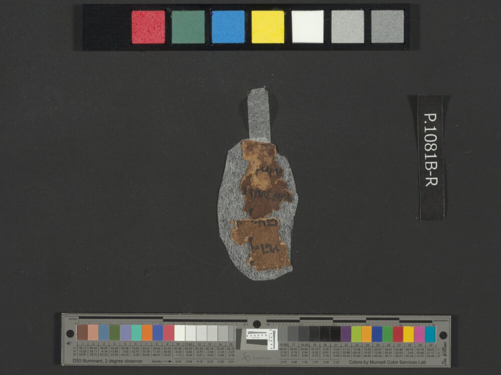 4QNumbers^b (4QNum^b) (Scan 2) showing Numbers 21:12 from Late 1st Century BC – Early 1st Century AD found in Qumran, Cave 4, currently housed at Rockefeller Museum, Jerusalem