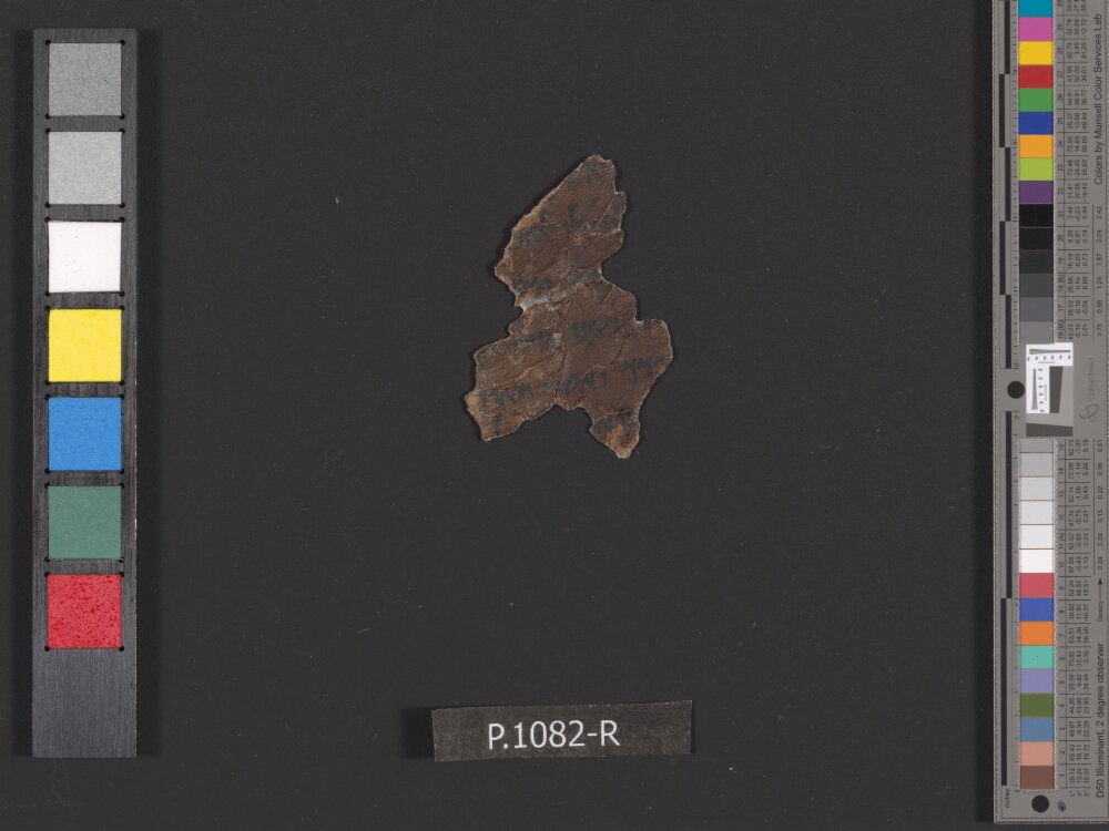 4QNumbers^b (4QNum^b) showing Numbers 22:7 from Late 1st Century BC – Early 1st Century AD found in Qumran, Cave 4, currently housed at Rockefeller Museum, Jerusalem