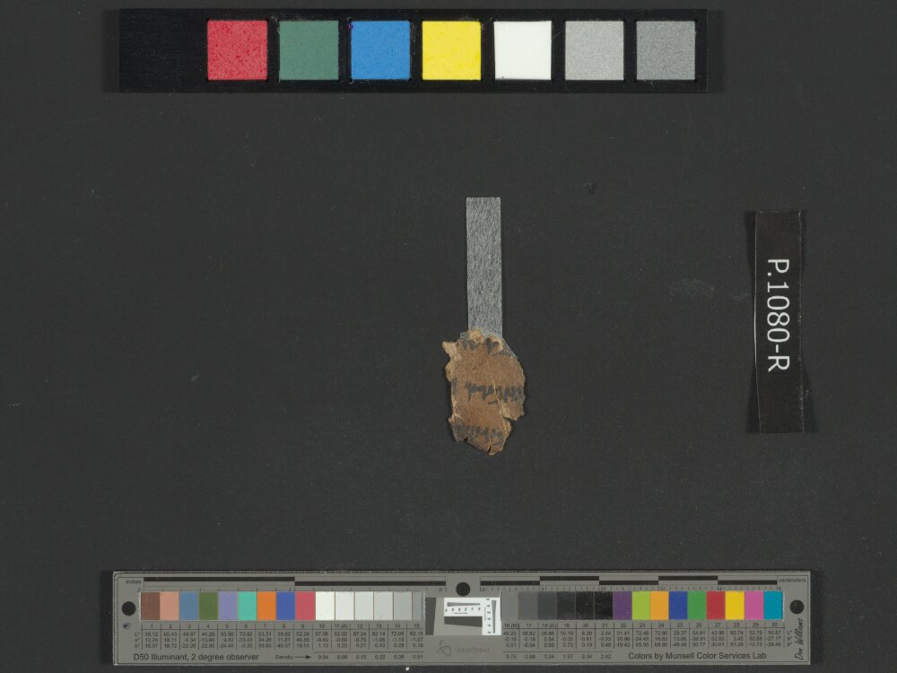 4QNumbers^b (4QNum^b) (Scan 2) showing Numbers 11:33 from Late 1st Century BC – Early 1st Century AD found in Qumran, Cave 4, currently housed at Rockefeller Museum, Jerusalem