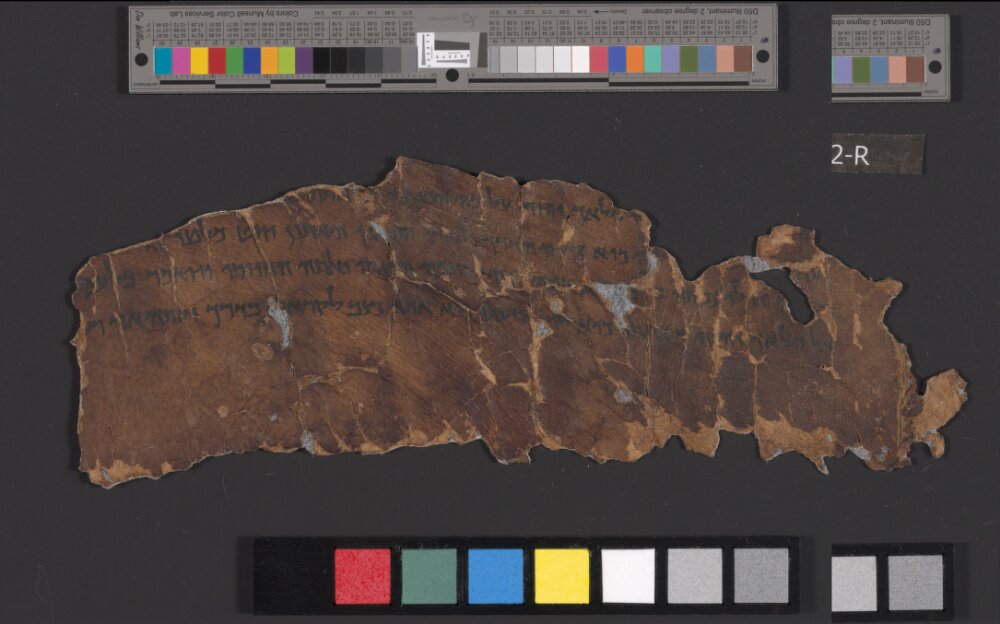 4QNumbers^b (4QNum^b) (Scan 1) showing Numbers 22:8 from Late 1st Century BC – Early 1st Century AD found in Qumran, Cave 4, currently housed at Rockefeller Museum, Jerusalem