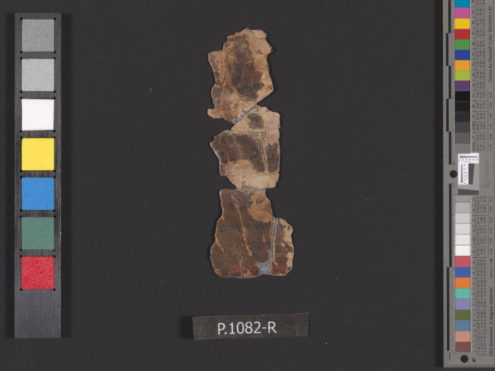 4QNumbers^b (4QNum^b) (Scan 2) showing Numbers 22:8 from Late 1st Century BC – Early 1st Century AD found in Qumran, Cave 4, currently housed at Rockefeller Museum, Jerusalem