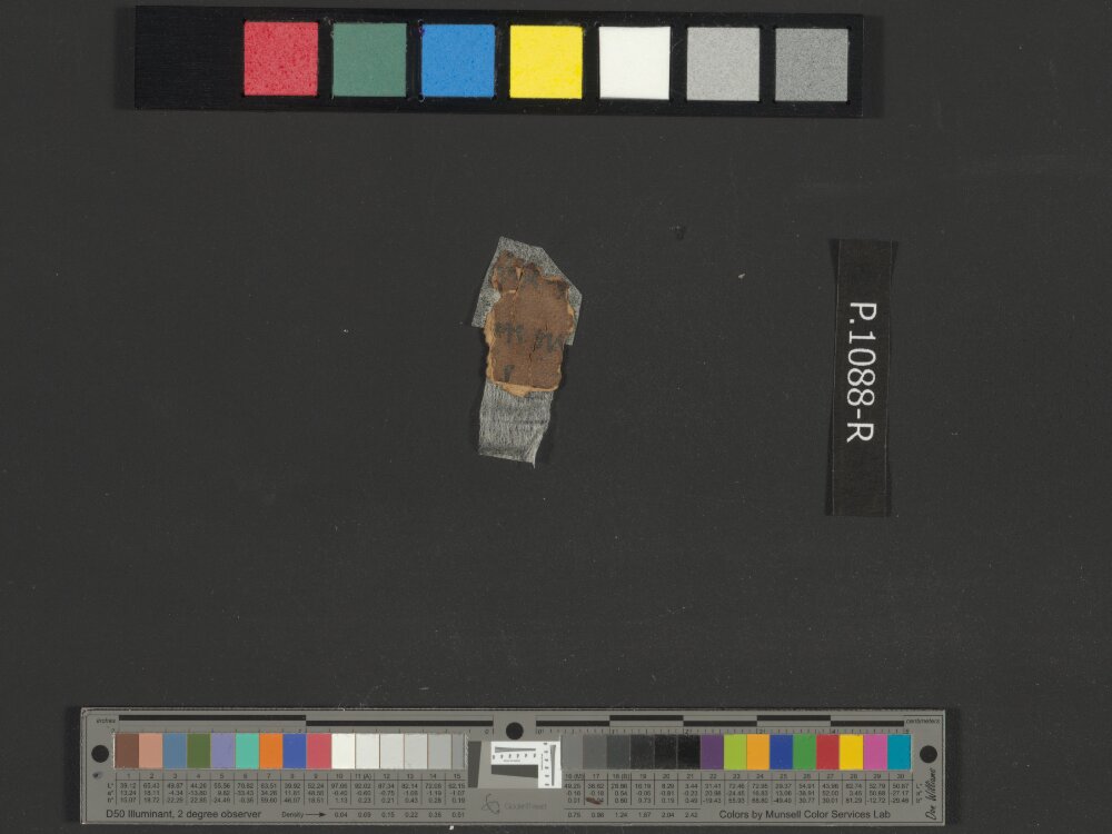 4QNumbers^b (4QNum^b) (Scan 4) showing Numbers 22:8 from Late 1st Century BC – Early 1st Century AD found in Qumran, Cave 4, currently housed at Rockefeller Museum, Jerusalem
