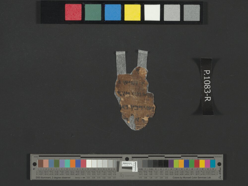4QNumbers^b (4QNum^b) (Scan 1) showing Numbers 23:1 from Late 1st Century BC – Early 1st Century AD found in Qumran, Cave 4, currently housed at Rockefeller Museum, Jerusalem