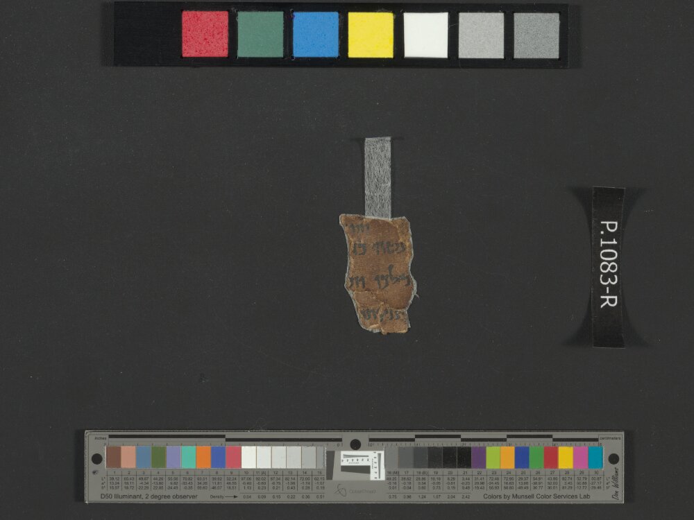 4QNumbers^b (4QNum^b) (Scan 3) showing Numbers 23:1 from Late 1st Century BC – Early 1st Century AD found in Qumran, Cave 4, currently housed at Rockefeller Museum, Jerusalem