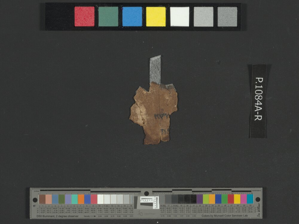 4QNumbers^b (4QNum^b) (Scan 2) showing Numbers 26:2 from Late 1st Century BC – Early 1st Century AD found in Qumran, Cave 4, currently housed at Rockefeller Museum, Jerusalem
