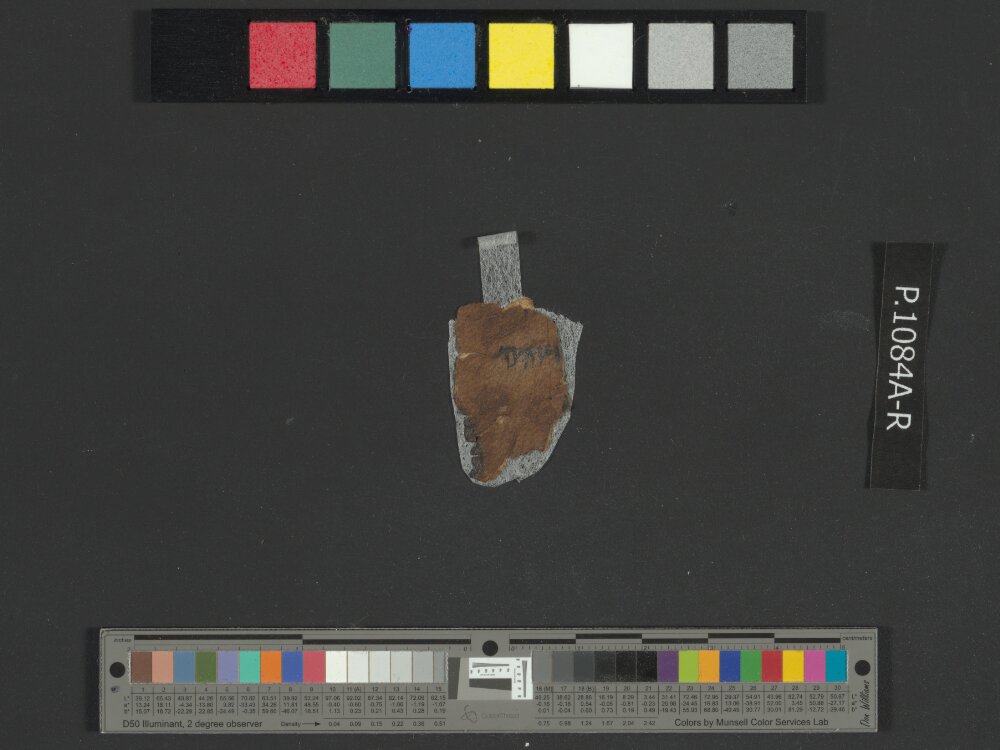4QNumbers^b (4QNum^b) (Scan 2) showing Numbers 26:20 from Late 1st Century BC – Early 1st Century AD found in Qumran, Cave 4, currently housed at Rockefeller Museum, Jerusalem
