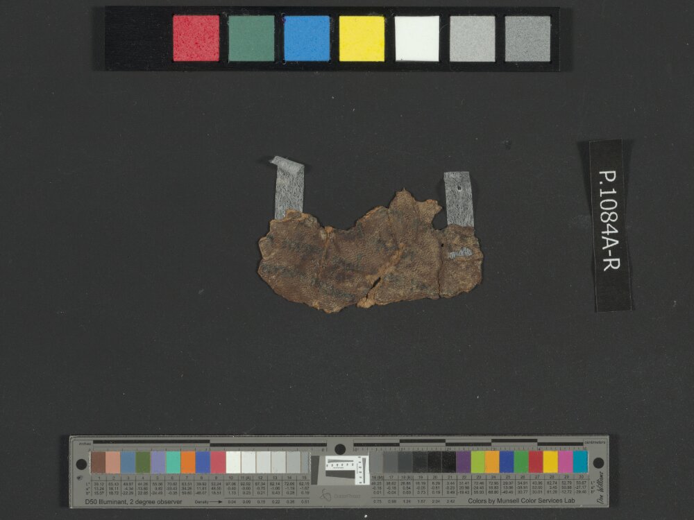 4QNumbers^b (4QNum^b) (Scan 3) showing Numbers 26:20 from Late 1st Century BC – Early 1st Century AD found in Qumran, Cave 4, currently housed at Rockefeller Museum, Jerusalem