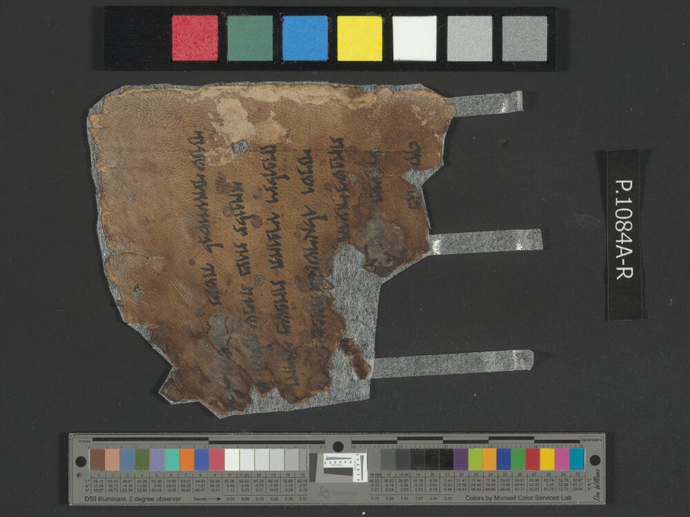 4QNumbers^b (4QNum^b) (Scan 7) showing Numbers 26:20 from Late 1st Century BC – Early 1st Century AD found in Qumran, Cave 4, currently housed at Rockefeller Museum, Jerusalem