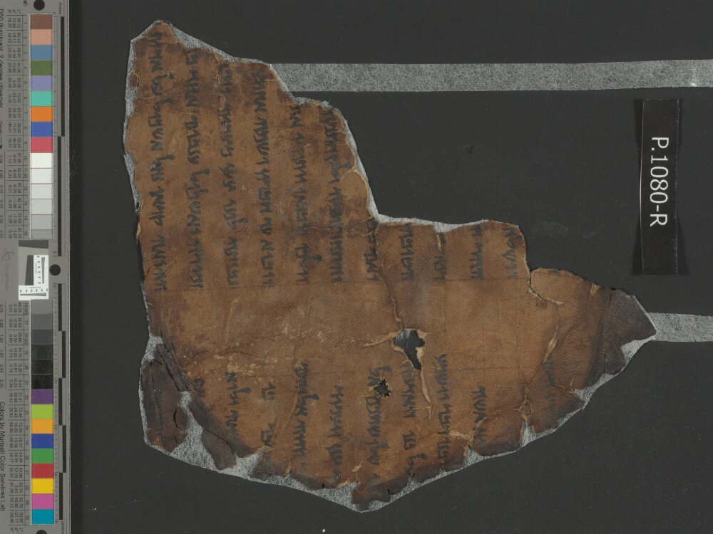 4QNumbers^b (4QNum^b) (Scan 2) showing Numbers 13:24 from Late 1st Century BC – Early 1st Century AD found in Qumran, Cave 4, currently housed at Rockefeller Museum, Jerusalem