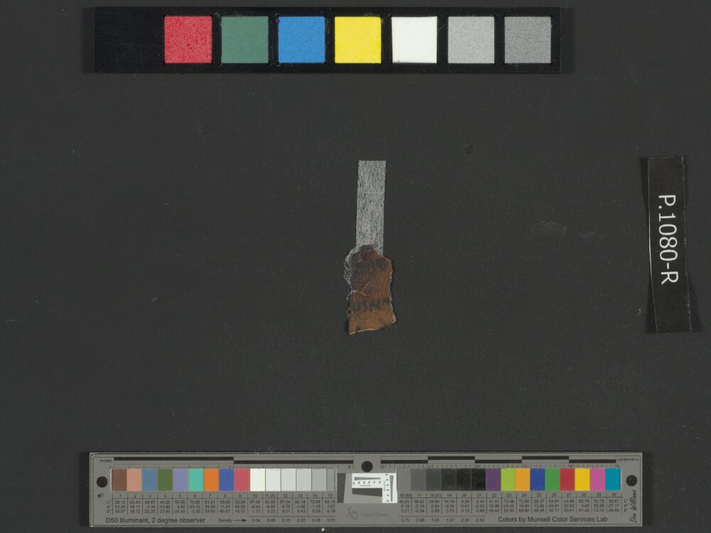 4QNumbers^b (4QNum^b) (Scan 3) showing Numbers 13:24 from Late 1st Century BC – Early 1st Century AD found in Qumran, Cave 4, currently housed at Rockefeller Museum, Jerusalem